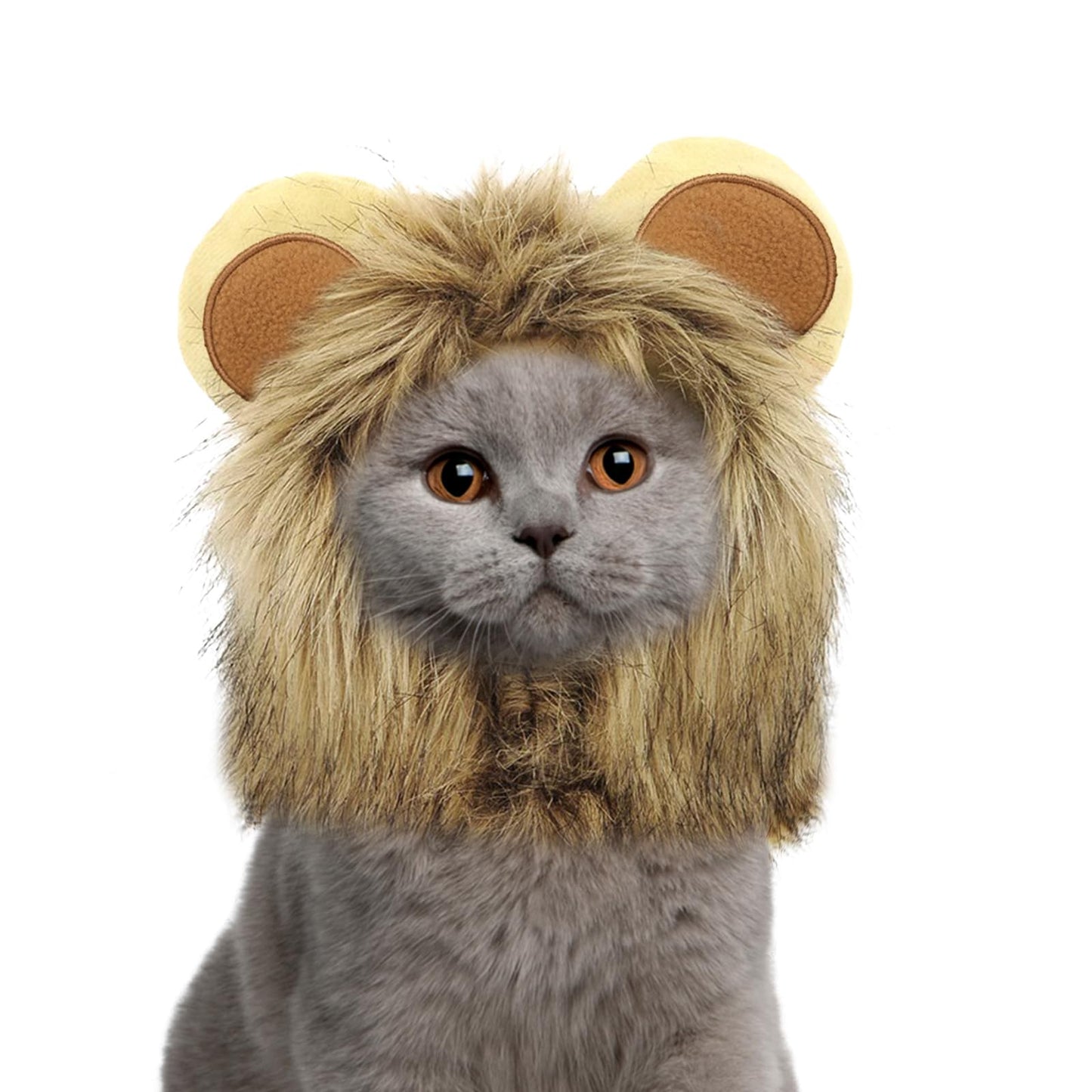 NAMSAN Pet Sailor Costume for Cats Small Dogs, Cat Halloween Costumes, Small Dog Sailor Outfit, Cat Sailors Hat with Tie Collar, Pet Navy Costume for Kitten Puppy Statue Toys Decoration