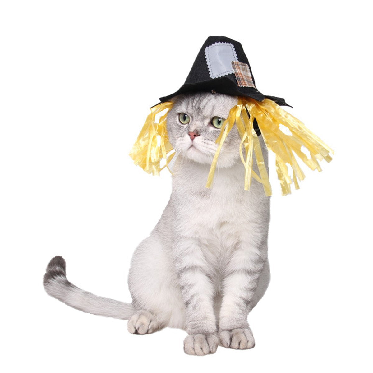 NAMSAN Pet Sailor Costume for Cats Small Dogs, Cat Halloween Costumes, Small Dog Sailor Outfit, Cat Sailors Hat with Tie Collar, Pet Navy Costume for Kitten Puppy Statue Toys Decoration