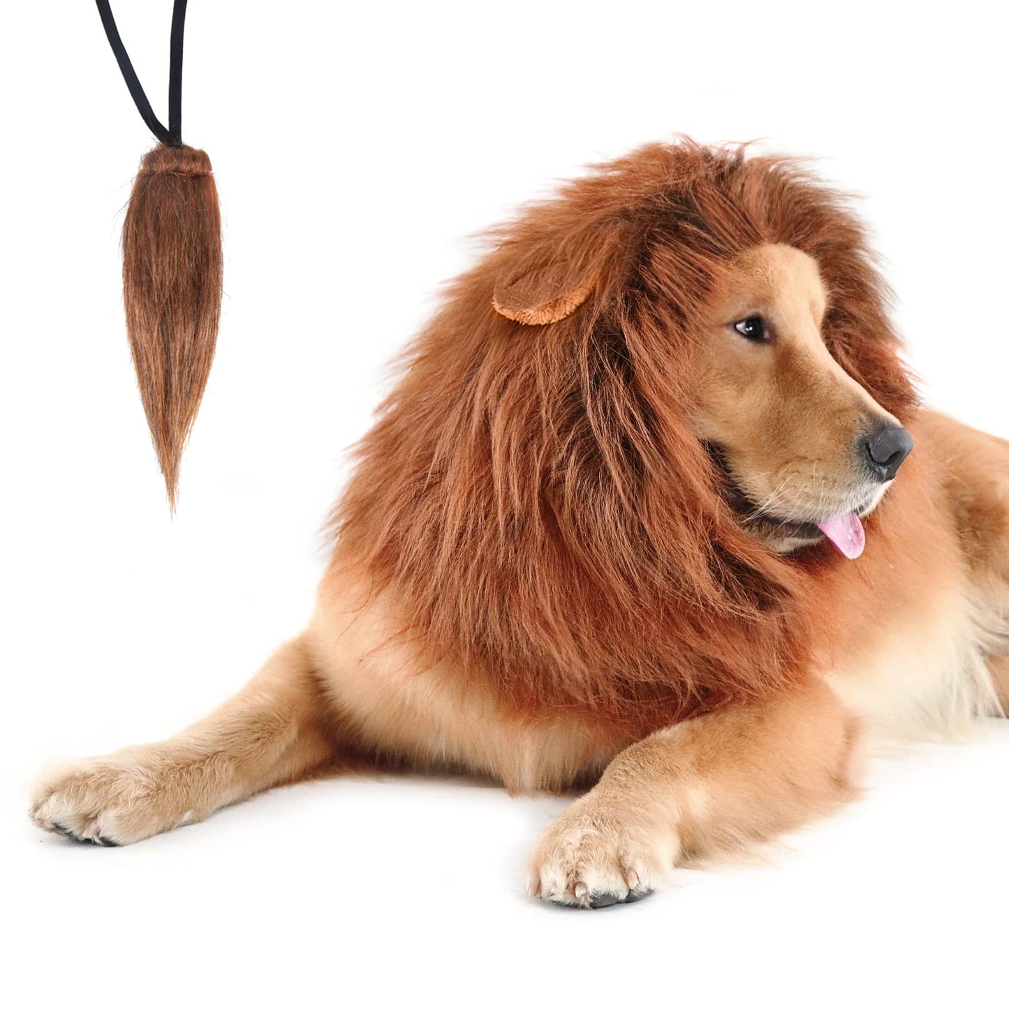 CPPSLEE Lion Mane for Dog Costumes, Realistic Wig for Medium to Large Sized Dogs, Halloween Costumes (Brown)