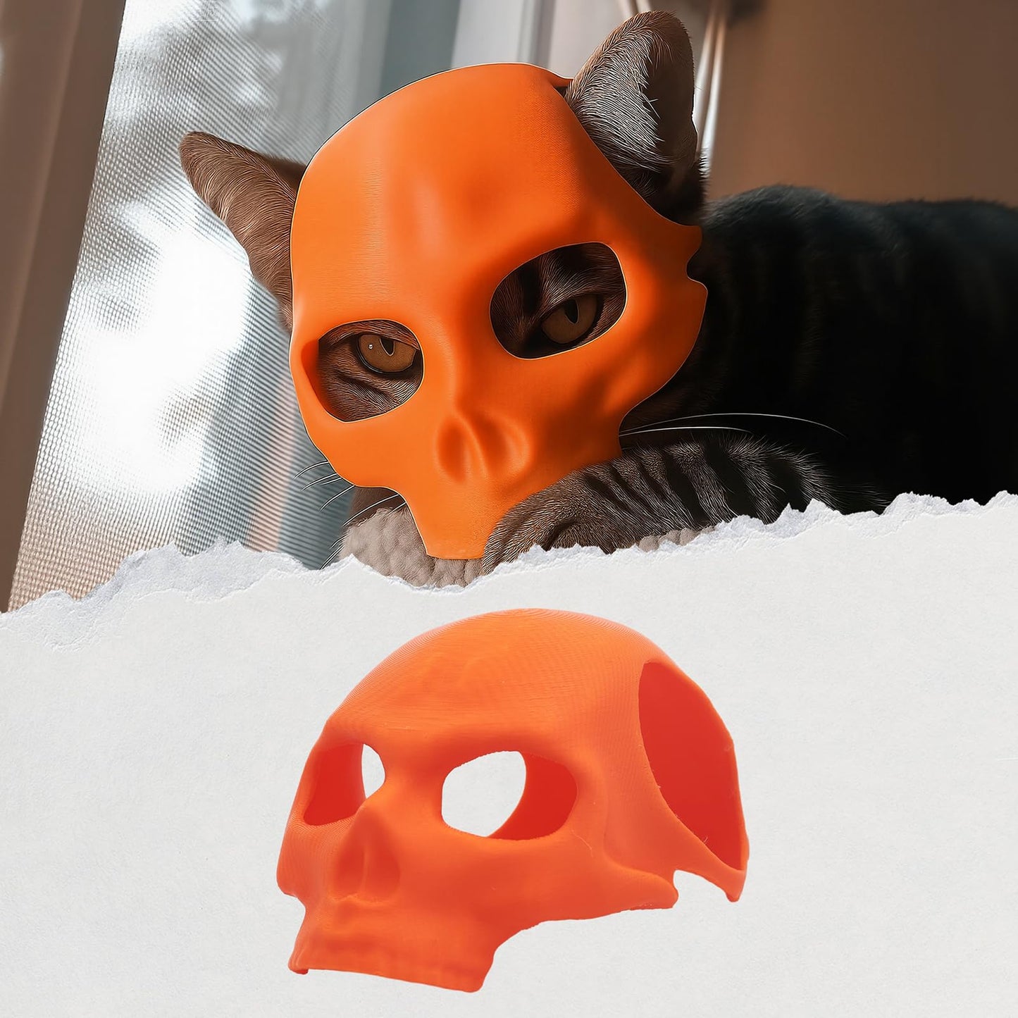 Cat Bat Mask Halloween Costumes Accessories for Cats, Cat Bat Cosplay Apparel (Medium, Black Bat)