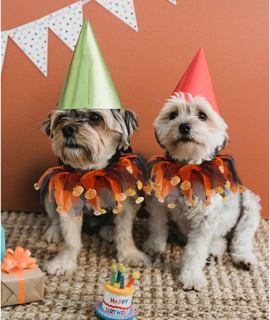 Cat Witch Halloween Costume Suit, Hmxpls Small Dogs & Cats Tutu Collar and Witch Pumpkin Hat Cute Costume Suit Kitten Outfit Clothing for Birthday Party Thanksgiving Christmas Holiday
