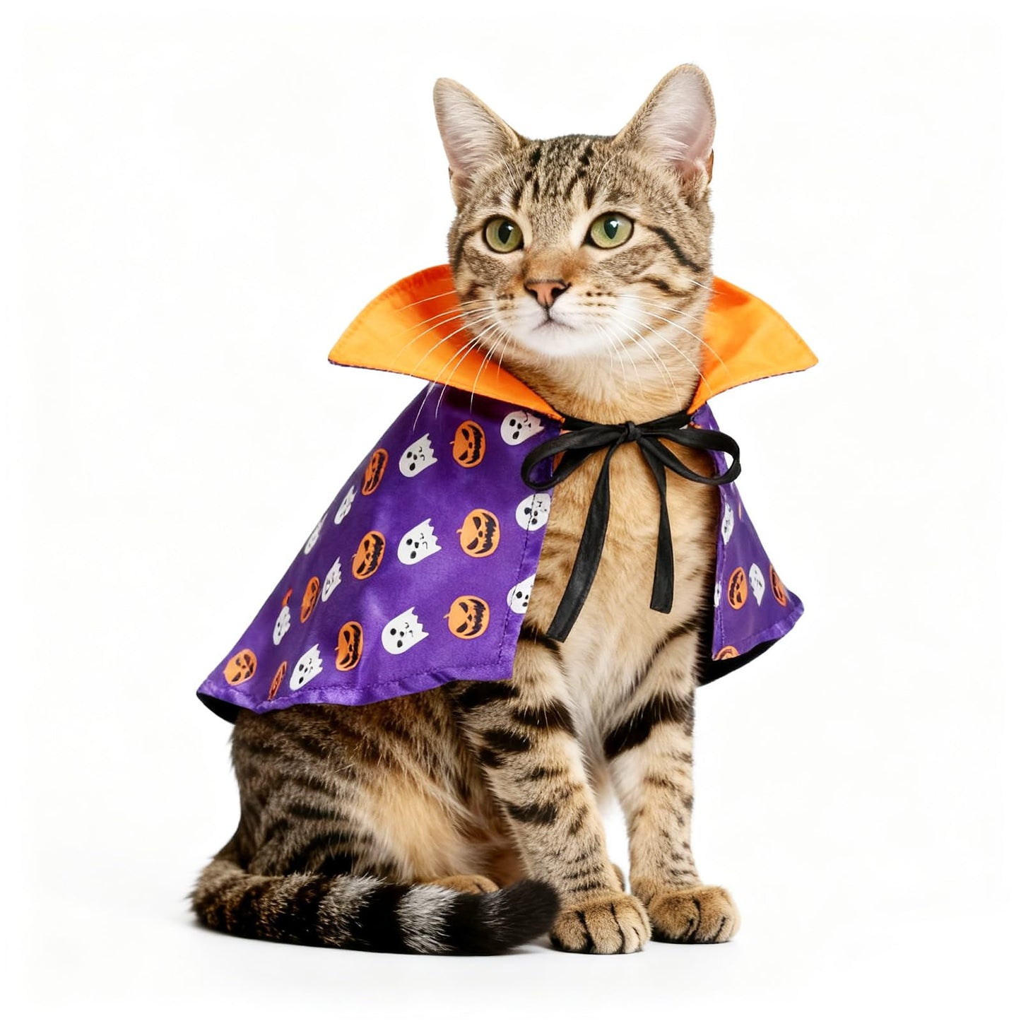 NAMSAN Pet Sailor Costume for Cats Small Dogs, Cat Halloween Costumes, Small Dog Sailor Outfit, Cat Sailors Hat with Tie Collar, Pet Navy Costume for Kitten Puppy Statue Toys Decoration