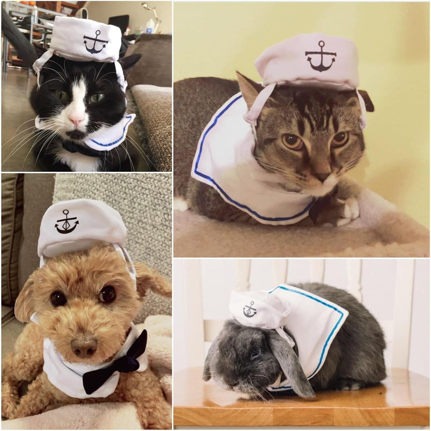 NAMSAN Pet Sailor Costume for Cats Small Dogs, Cat Halloween Costumes, Small Dog Sailor Outfit, Cat Sailors Hat with Tie Collar, Pet Navy Costume for Kitten Puppy Statue Toys Decoration