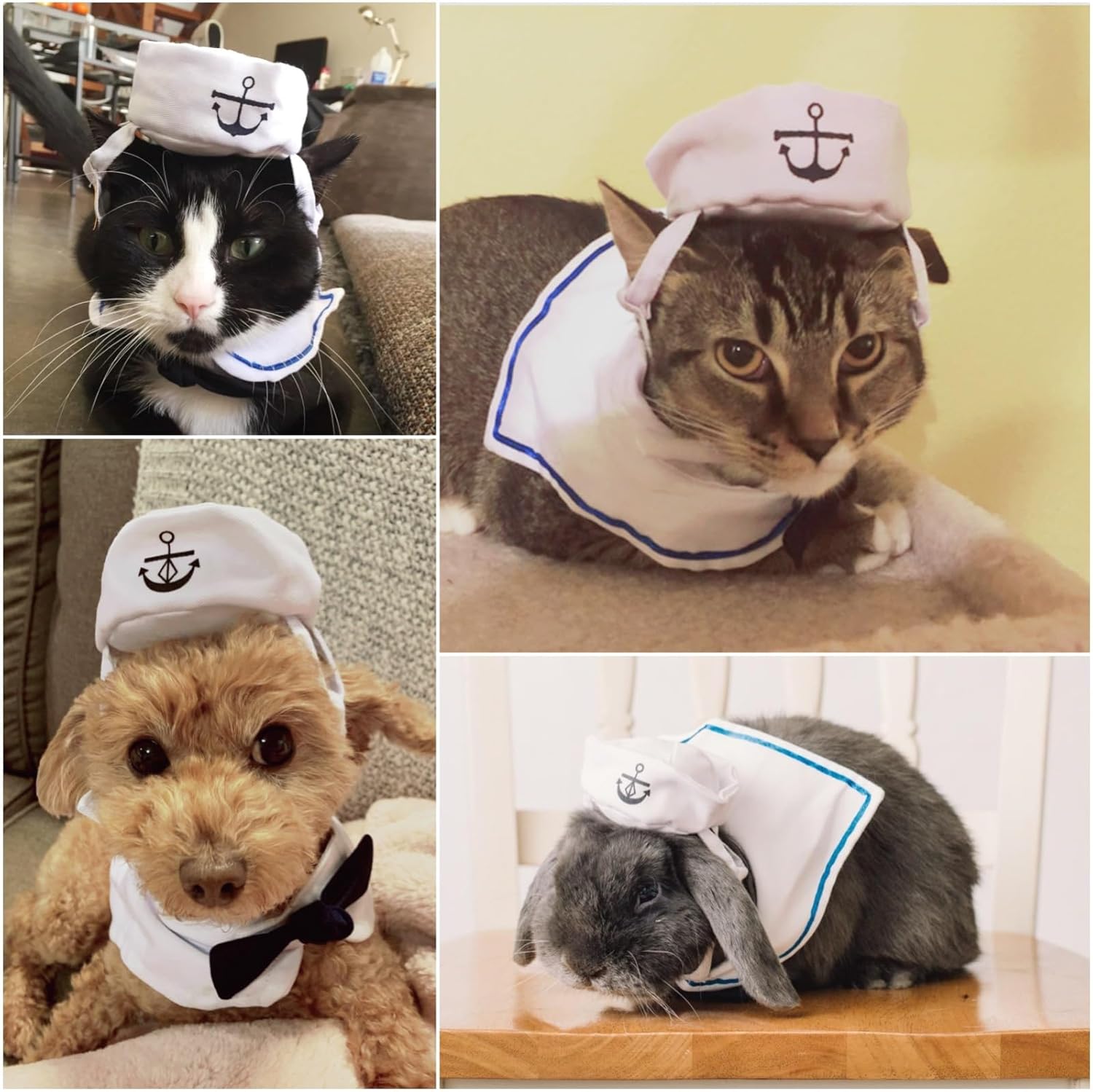 NAMSAN Pet Sailor Costume for Cats Small Dogs, Cat Halloween Costumes, Small Dog Sailor Outfit, Cat Sailors Hat with Tie Collar, Pet Navy Costume for Kitten Puppy Statue Toys Decoration