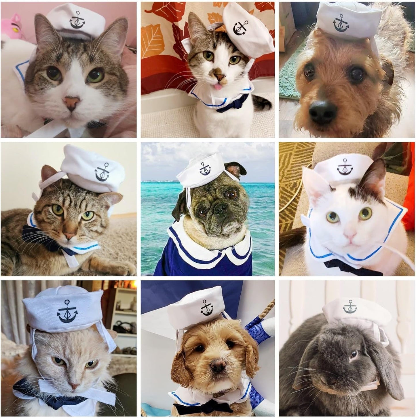 NAMSAN Pet Sailor Costume for Cats Small Dogs, Cat Halloween Costumes, Small Dog Sailor Outfit, Cat Sailors Hat with Tie Collar, Pet Navy Costume for Kitten Puppy Statue Toys Decoration